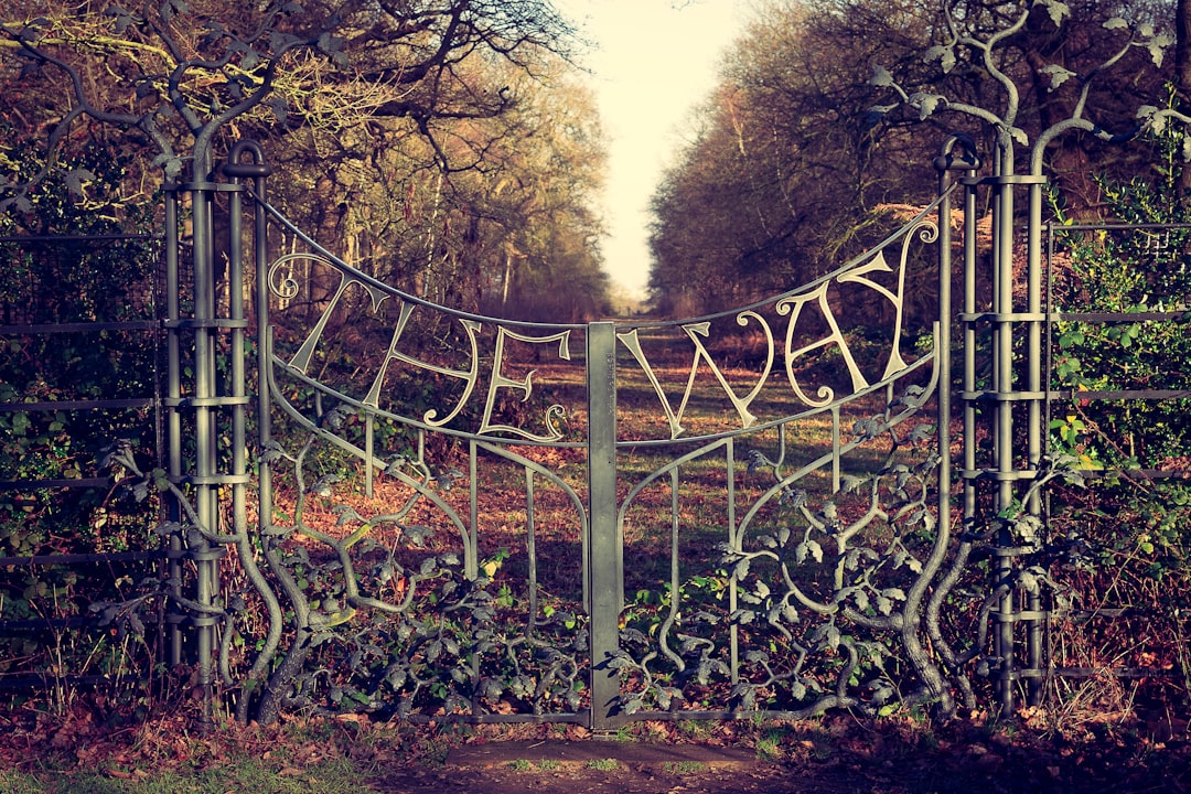 Metal driveway gate at a Pearland home