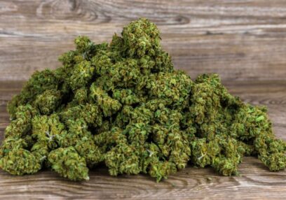Best cannabis seeds for indoor growing